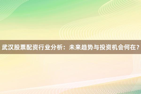 武汉股票配资行业分析：未来趋势与投资机会何在？