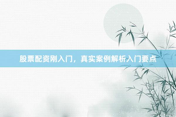 股票配资刚入门，真实案例解析入门要点