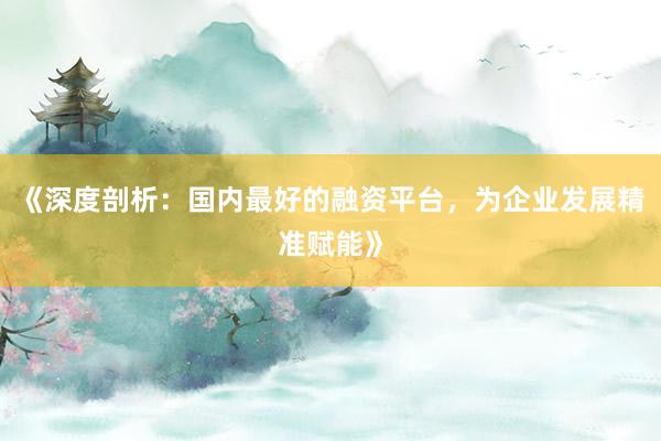 《深度剖析：国内最好的融资平台，为企业发展精准赋能》