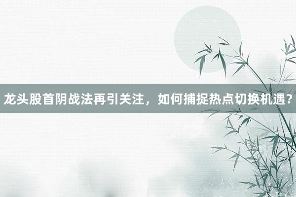 龙头股首阴战法再引关注，如何捕捉热点切换机遇？