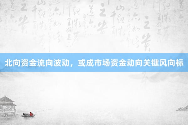 北向资金流向波动，或成市场资金动向关键风向标
