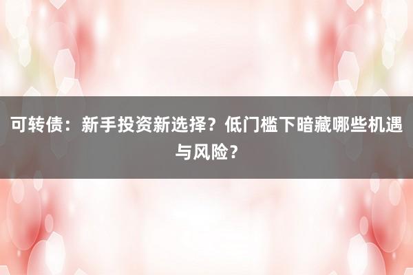 可转债：新手投资新选择？低门槛下暗藏哪些机遇与风险？