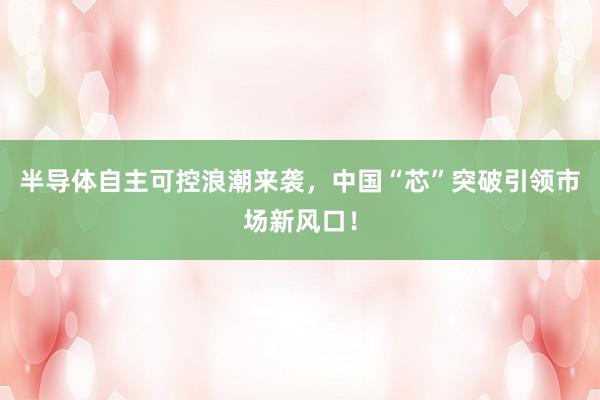 半导体自主可控浪潮来袭，中国“芯”突破引领市场新风口！