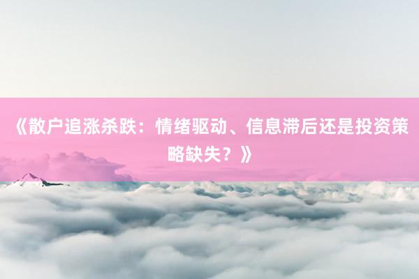 《散户追涨杀跌：情绪驱动、信息滞后还是投资策略缺失？》