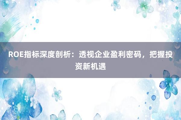 ROE指标深度剖析:透视企业盈利密码,把握投资新机遇