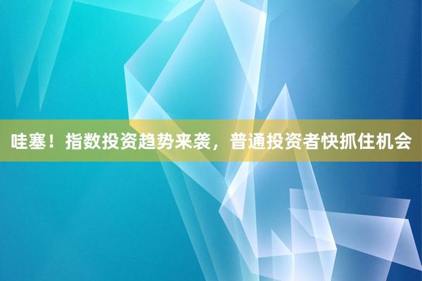 哇塞！指数投资趋势来袭，普通投资者快抓住机会