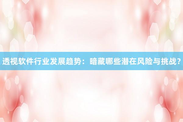 透视软件行业发展趋势：暗藏哪些潜在风险与挑战？