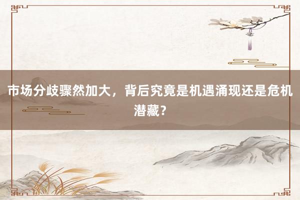 市场分歧骤然加大，背后究竟是机遇涌现还是危机潜藏？