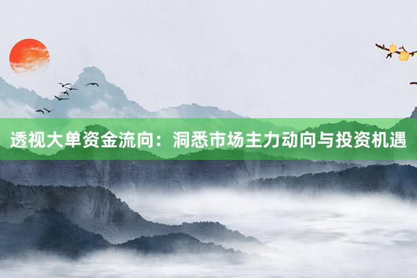 透视大单资金流向：洞悉市场主力动向与投资机遇