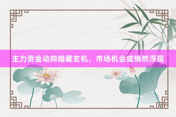 主力资金动向暗藏玄机，市场机会或悄然浮现