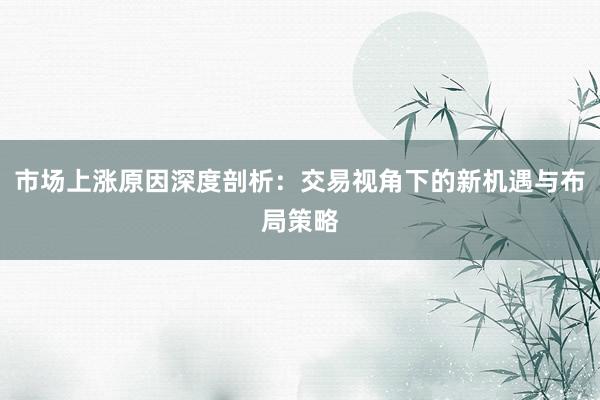 市场上涨原因深度剖析：交易视角下的新机遇与布局策略