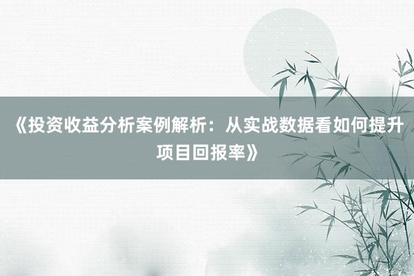 《投资收益分析案例解析：从实战数据看如何提升项目回报率》