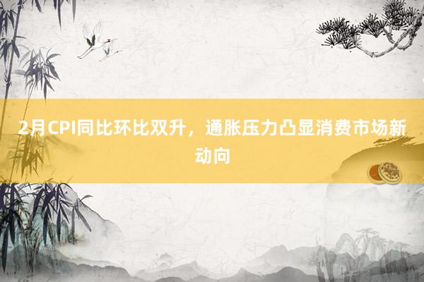 2月CPI同比环比双升，通胀压力凸显消费市场新动向