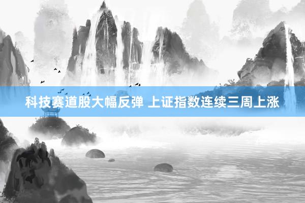 科技赛道股大幅反弹 上证指数连续三周上涨