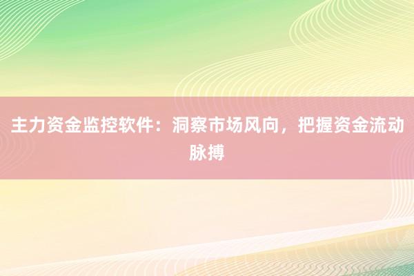 主力资金监控软件:洞察市场风向,把握资金流动脉搏