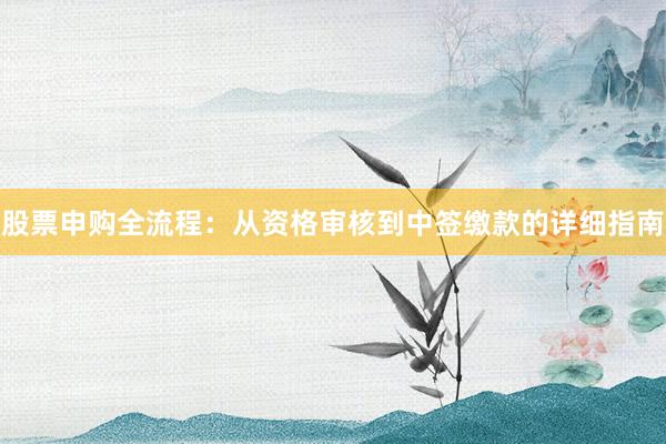 股票申购全流程:从资格审核到中签缴款的详细指南